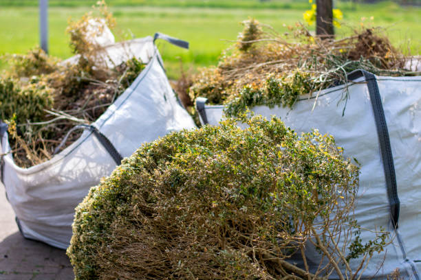 Professional Junk Removal Services in Stone Ridge, VA